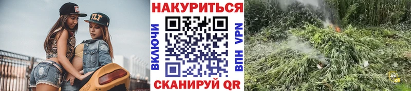 Купить где Сурск Каннабис AK-47